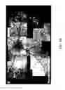Fig. 07 - COMPOSITIONS AND METHODS FOR TREATING AND DIAGNOSING OCULAR DISORDERS