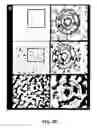 Fig. 13 - COMPOSITIONS AND METHODS FOR TREATING AND DIAGNOSING OCULAR DISORDERS