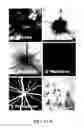 Fig. 15 - COMPOSITIONS AND METHODS FOR TREATING AND DIAGNOSING OCULAR DISORDERS