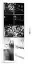 Fig. 24 - COMPOSITIONS AND METHODS FOR TREATING AND DIAGNOSING OCULAR DISORDERS