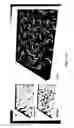 Fig. 28 - COMPOSITIONS AND METHODS FOR TREATING AND DIAGNOSING OCULAR DISORDERS