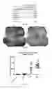 Fig. 42 - COMPOSITIONS AND METHODS FOR TREATING AND DIAGNOSING OCULAR DISORDERS