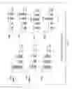 Fig. 47 - COMPOSITIONS AND METHODS FOR TREATING AND DIAGNOSING OCULAR DISORDERS