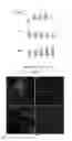 Fig. 48 - COMPOSITIONS AND METHODS FOR TREATING AND DIAGNOSING OCULAR DISORDERS