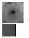Fig. 60 - COMPOSITIONS AND METHODS FOR TREATING AND DIAGNOSING OCULAR DISORDERS
