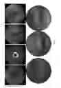 Fig. 68 - COMPOSITIONS AND METHODS FOR TREATING AND DIAGNOSING OCULAR DISORDERS
