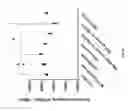 Fig. 75 - COMPOSITIONS AND METHODS FOR TREATING AND DIAGNOSING OCULAR DISORDERS