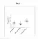 Fig. 08 - METHOD OF ACTIVATING REGULATORY T CELLS WITH ALPHA-2B ADRENERGIC RECEPTOR AGONISTS