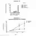 Fig. 07 - 1-(5-tert-butyl-2-phenyl-2H-pyrazol-3-yl)-3-[2-fluoro-4-(1-methyl-2-oxo-2,3-dihydro-1H-imidazo[4,5-b]pyridin-7-yloxy)-phenyl]-urea and related compounds and their use in therapy