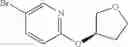 Fig. 25 - Positive allosteric modulators of nicotinic acetylcholine receptor