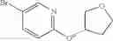 Fig. 26 - Positive allosteric modulators of nicotinic acetylcholine receptor