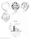 Fig. 05 - ROS1 inhibitor and its use