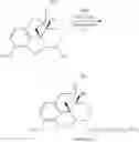 Fig. 25 - Compositions, dosage forms, and co-administration of an opioid agonist compound and an analgesic compound