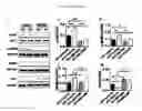 Fig. 06 - Methods for treating cognitive deficits associated with fragile X syndrome
