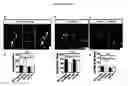 Fig. 11 - Methods for treating cognitive deficits associated with fragile X syndrome