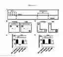 Fig. 12 - Methods for treating cognitive deficits associated with fragile X syndrome