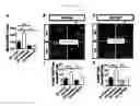 Fig. 20 - Methods for treating cognitive deficits associated with fragile X syndrome