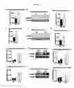 Fig. 24 - Methods for treating cognitive deficits associated with fragile X syndrome