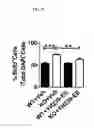 Fig. 30 - Methods for treating cognitive deficits associated with fragile X syndrome