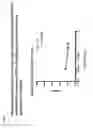 Fig. 14 - THERAPY FOR SOLID TUMORS
