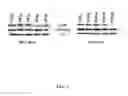 Fig. 02 - 6,7-DIALKOXY QUINAZOLINE DERIVATIVES AND METHODS OF TREATING DRUG RESISTANT AND OTHER TUMORS