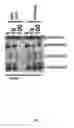 Fig. 09 - 6,7-DIALKOXY QUINAZOLINE DERIVATIVES AND METHODS OF TREATING DRUG RESISTANT AND OTHER TUMORS