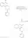 Fig. 19 - Prodrugs of vitamin K
