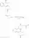 Fig. 28 - Prodrugs of vitamin K