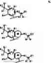 Fig. 232 - Silyl monomers capable of multimerizing in an aqueous solution, and methods of using same