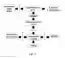 Fig. 03 - Thermosensitive nanoparticle formulations and method of making the same