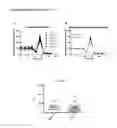 Fig. 07 - COMPOSITIONS AND METHODS FOR TREATING RETINOPATHY