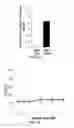 Fig. 08 - METHODS AND COMPOSITIONS FOR NON-CYTOTOXIC STEM CELL TRANSPLANTATION
