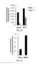 Fig. 09 - METHODS AND COMPOSITIONS FOR NON-CYTOTOXIC STEM CELL TRANSPLANTATION