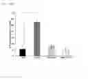 Fig. 28 - PPSA and Pspa polymer-virus complex and pharmaceutical compositions comprising the same