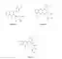 Fig. 02 - Water soluble leaf extract having standardized phytochemicals