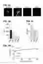 Fig. 04 - Optically-based stimulation of target cells and modifications thereto