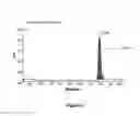 Fig. 08 - Derivatisation of Granulocyte Colony-Stimulating Factor
