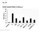 Fig. 02 - Hematopoietic growth factor proteins and analogs thereof and angiotensin converting enzyme inhibitors for treatment of radiation exposure