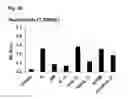 Fig. 03 - Hematopoietic growth factor proteins and analogs thereof and angiotensin converting enzyme inhibitors for treatment of radiation exposure