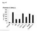 Fig. 07 - Hematopoietic growth factor proteins and analogs thereof and angiotensin converting enzyme inhibitors for treatment of radiation exposure