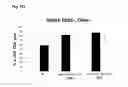 Fig. 41 - Hematopoietic growth factor proteins and analogs thereof and angiotensin converting enzyme inhibitors for treatment of radiation exposure