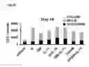 Fig. 44 - Hematopoietic growth factor proteins and analogs thereof and angiotensin converting enzyme inhibitors for treatment of radiation exposure