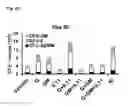 Fig. 45 - Hematopoietic growth factor proteins and analogs thereof and angiotensin converting enzyme inhibitors for treatment of radiation exposure