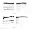 Fig. 03 - Methods of delivering a polypeptide molecule to Otx2 target cells using an Otx2 targeting peptide