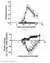 Fig. 11 - HIGHLY SOLUBLE AQUAPORIN-4 EXTRACELLULAR LOOP C PEPTIDE IMMUNIZATION FOR TREATMENT OF NEUROMYELITIS OPTICA