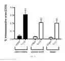 Fig. 13 - HIGHLY SOLUBLE AQUAPORIN-4 EXTRACELLULAR LOOP C PEPTIDE IMMUNIZATION FOR TREATMENT OF NEUROMYELITIS OPTICA