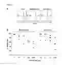 Fig. 02 - Medicament for use in a method of inducing or extending a cellular cytotoxic immune response