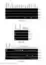 Fig. 02 - Composition and Method for Diagnosis and Immunotherapy of Lung Cancer