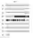 Fig. 08 - HETEROLOGOUS EXPRESSION OF NEISSERIAL PROTEINS