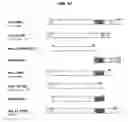 Fig. 13 - HETEROLOGOUS EXPRESSION OF NEISSERIAL PROTEINS